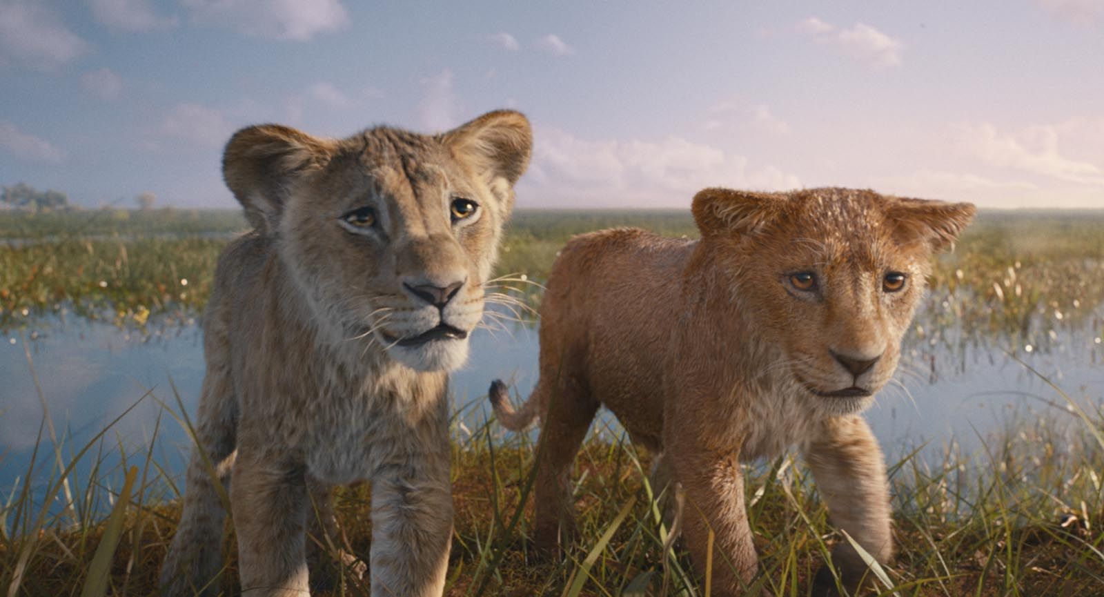 Mufasa Le Roi Lion Que Vaut Le Film Disney Tant Attendu