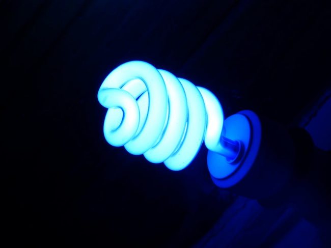 LED lumière bleue