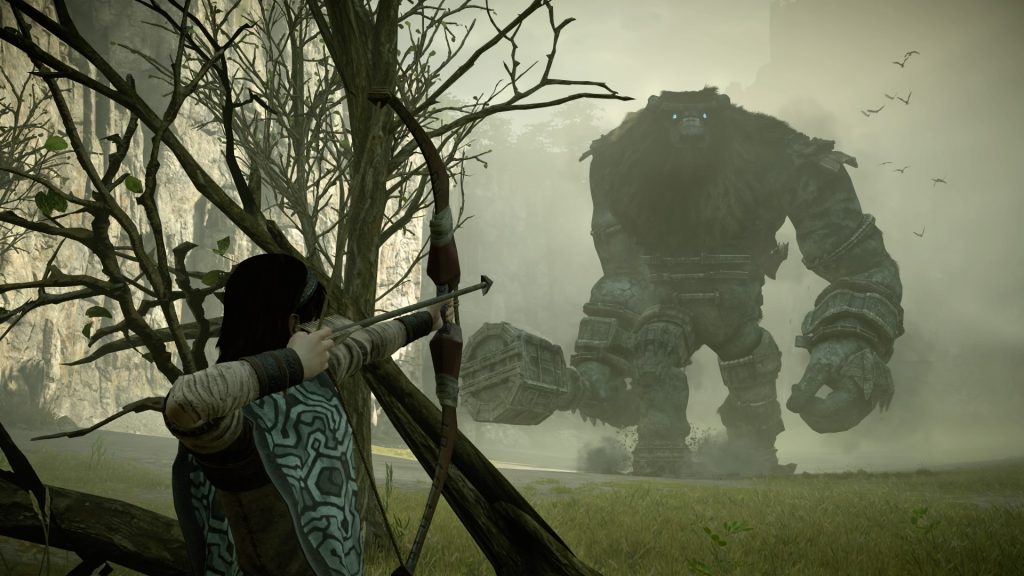 SHADOW OF THE COLOSSUS 6