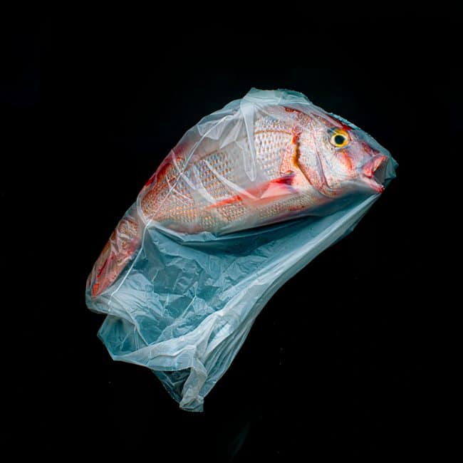  Une photographie d’un poisson mort semblant se débattre pour respirer dans un sac plastique. L’image vise à mettre en lumière la crise de la pollution plastique dont sont victimes nos océans. – © Jorge Reynal, Argentina, Winner, Open, Still Life, 2020 Sony World Photography Awards