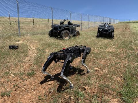 Des chiens robots pour surveiller la frontière.