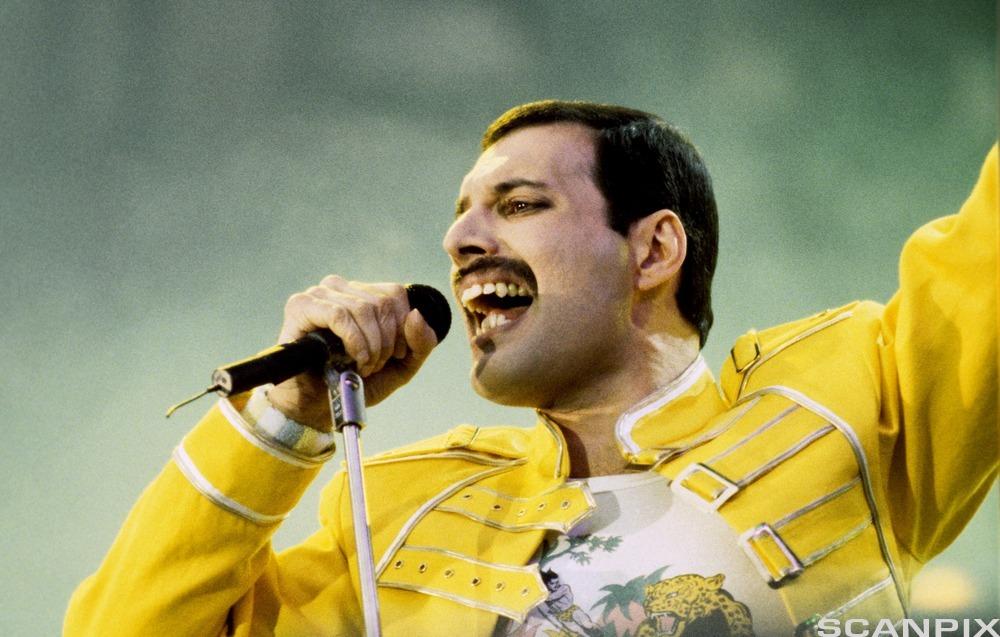 Freddie Mercury (1946-1991), à jamais dans la légende