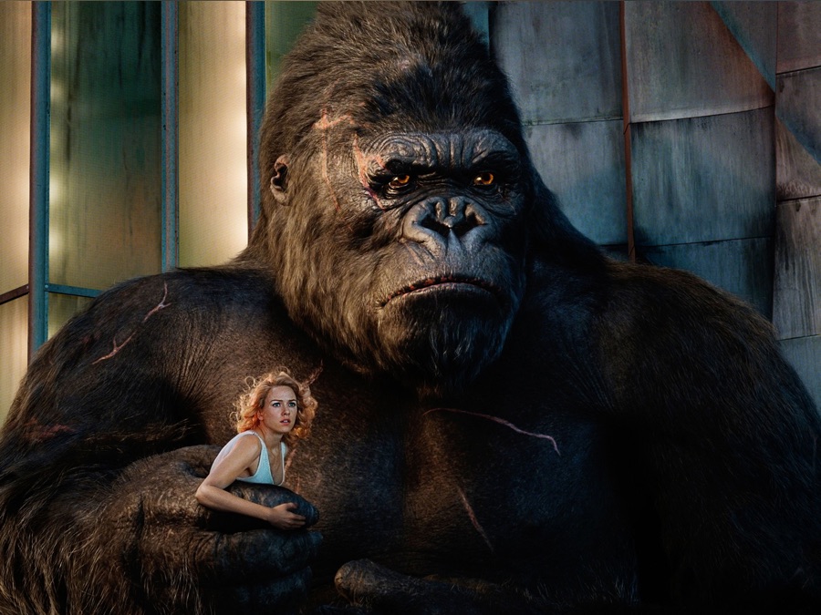 Avec pas moins de 4 projets autour de sa mythologie, King Kong semble plus populaire que jamais.