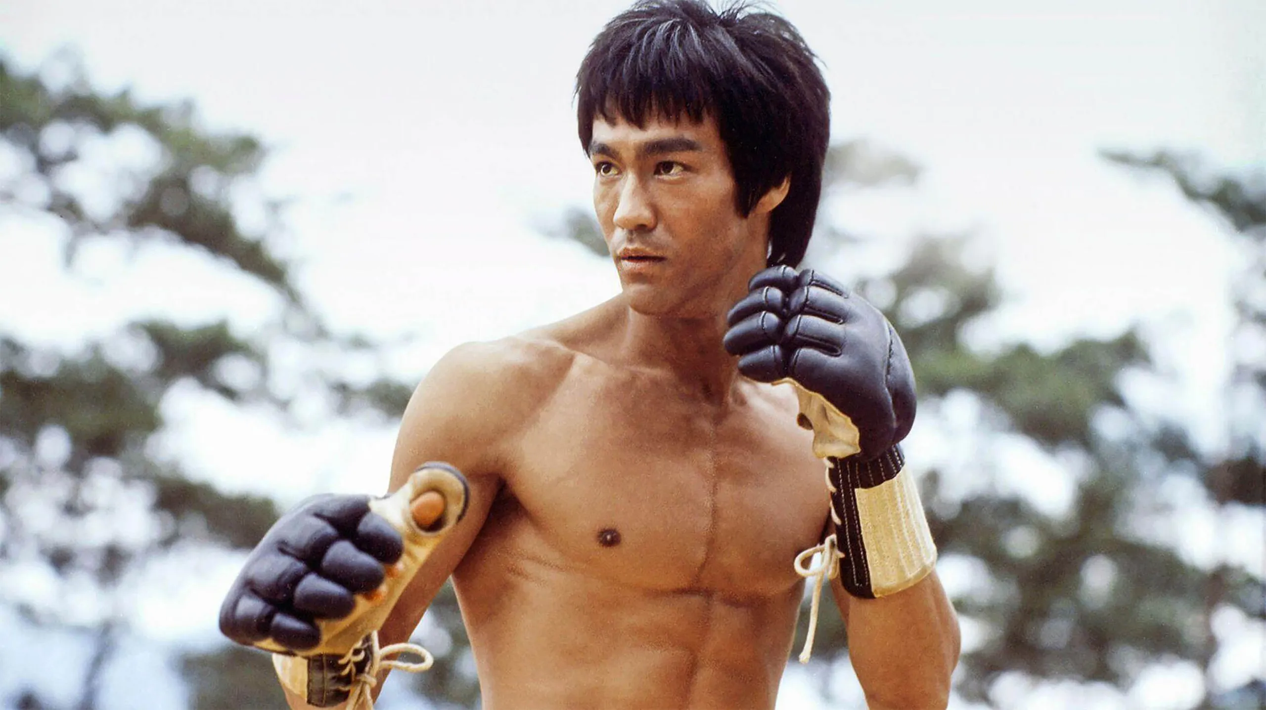 Le réalisateur Ang Lee à la tête d’un biopic sur Bruce Lee
