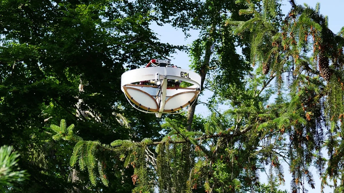 Des drones surveillent la biodiversité en collectant de l'ADN sur des arbres