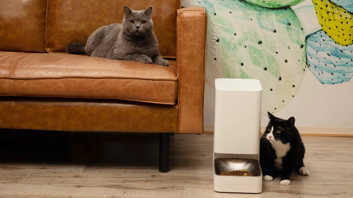 Déjà impliqué dans le domaine de la maison connectée, Xiaomi s’est engouffré sur ce marché. Le fabricant a récemment lancé un abreuvoir (Smart Pet Fountain) et un distributeur de croquettes (Smart Pet Feeder) connectés.