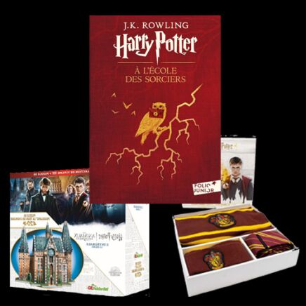 Découvrez notre TOP 3 d'idées cadeaux pour un fan d'Harry Potter ! - Au  Comptoir des Sorciers