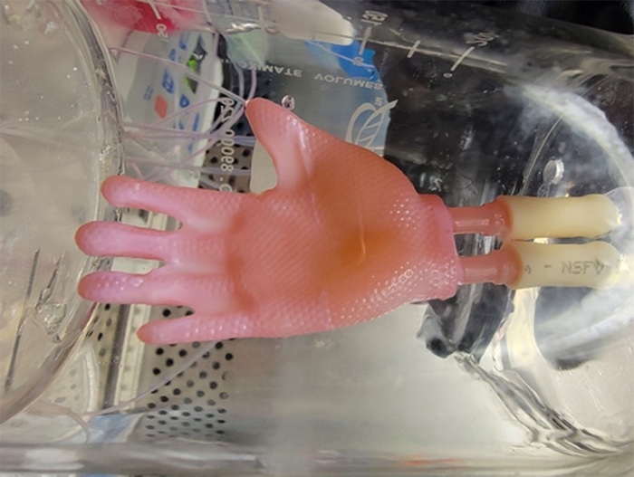 Grâce à l'impression 3D, des chercheurs créent des greffes de peau à "enfiler"