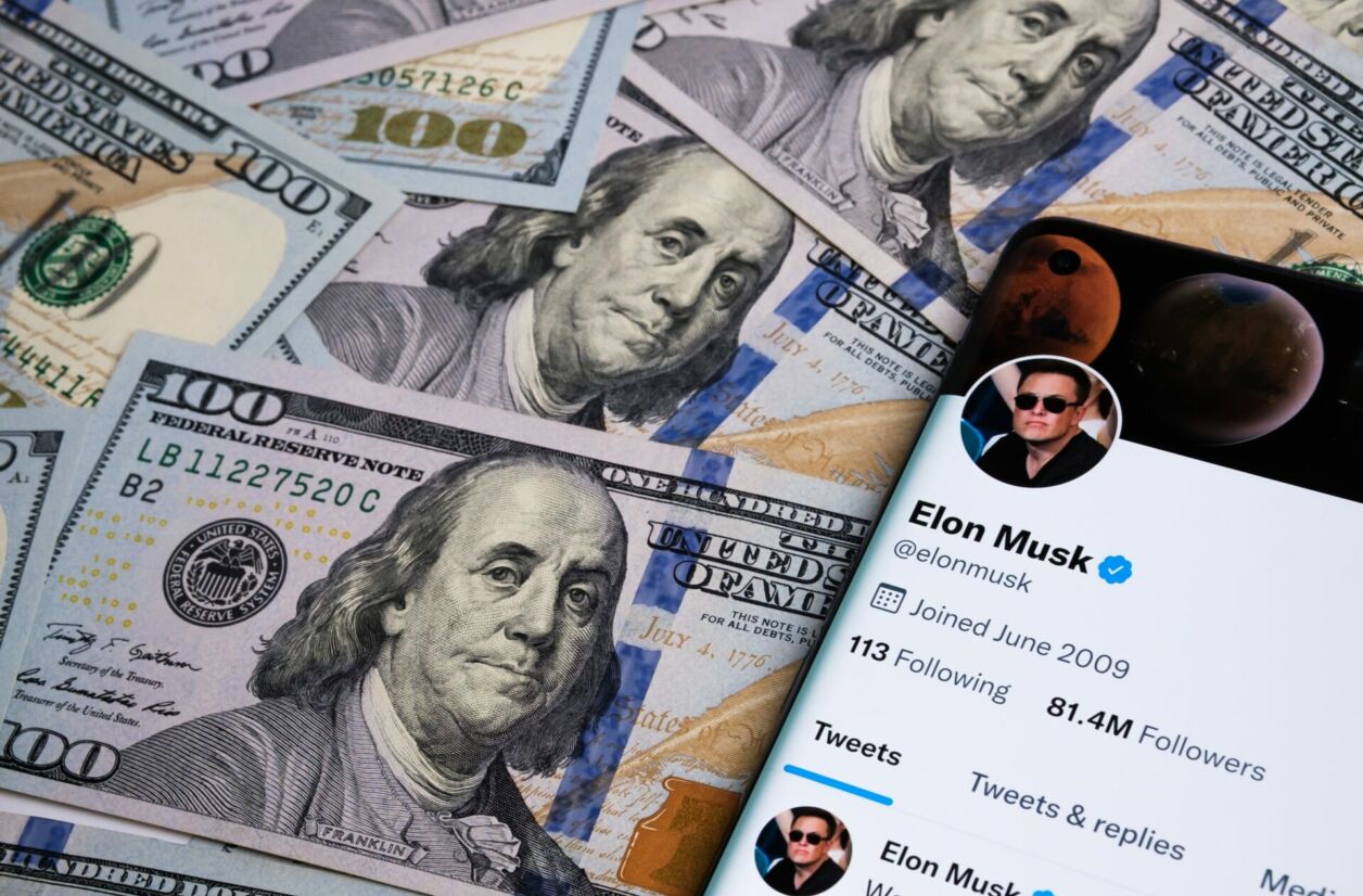 Le nombre d'abonnés payants représente une faible part du nombre de followers d'Elon Musk.