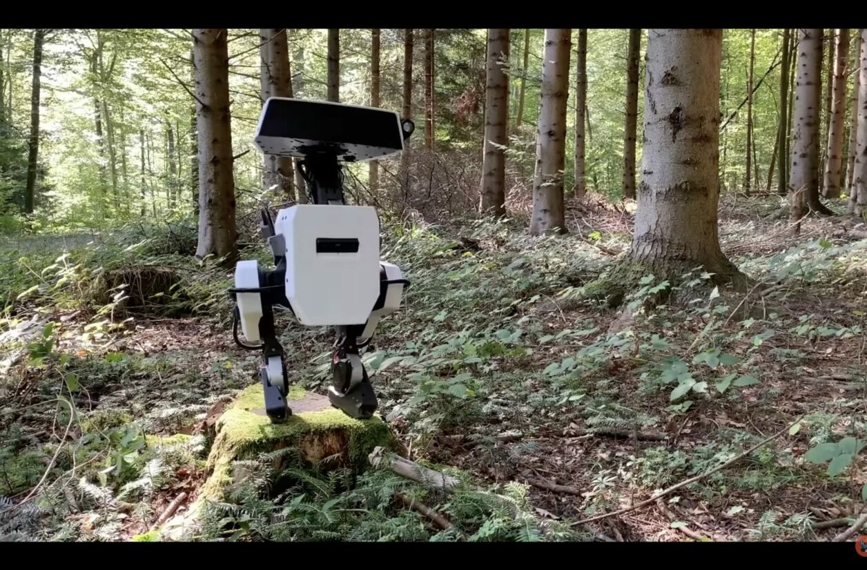 Disney a dévoilé un vrai robot (et il est trop mignon)