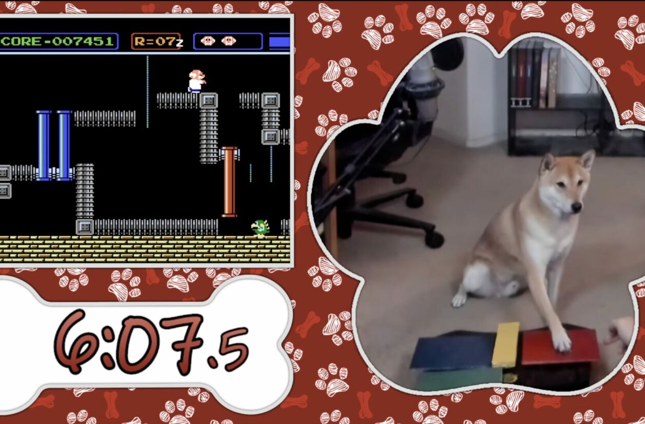 Pour la première fois au monde, un chien a réussi à speedrunner un jeu vidéo