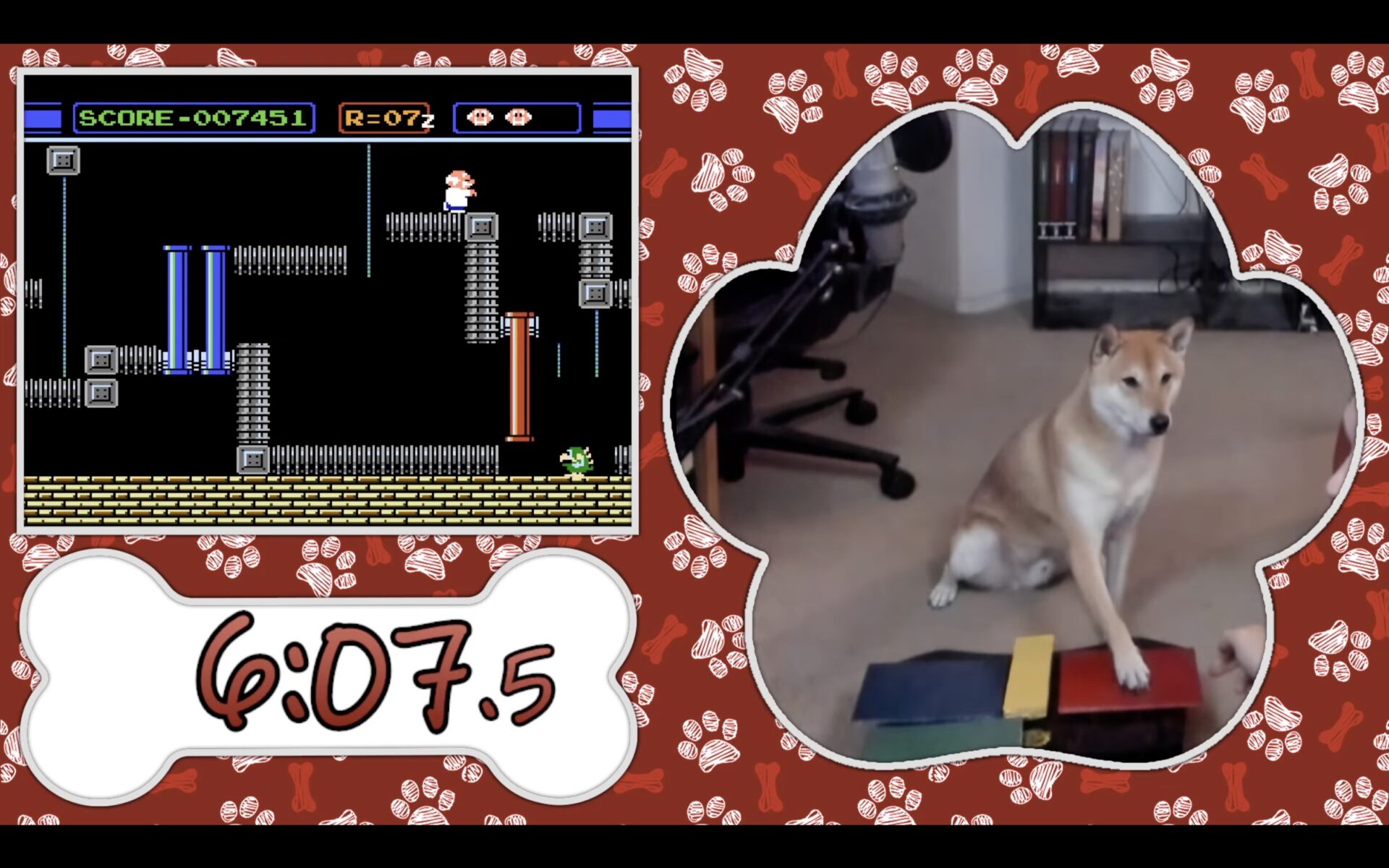 Pour la première fois au monde, un chien a réussi à speedrunner un jeu vidéo