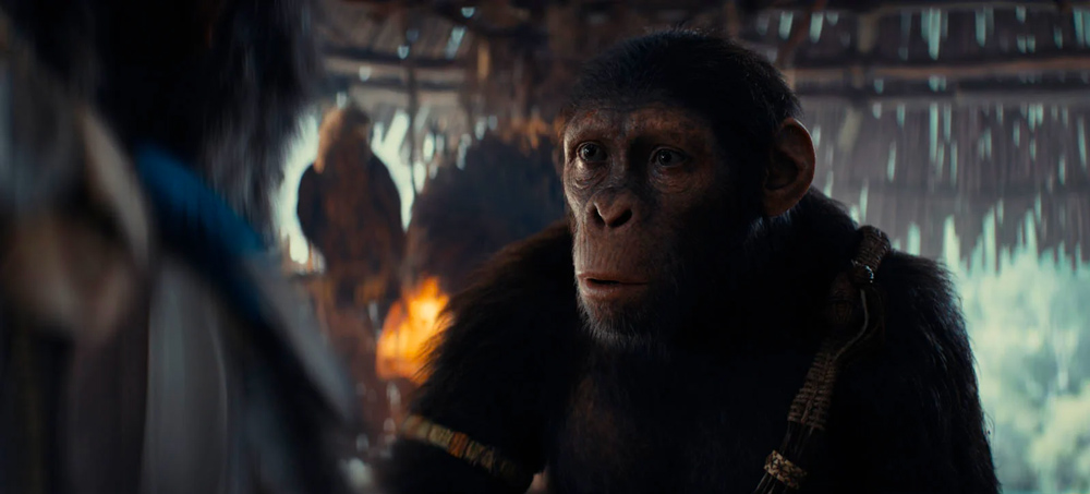 “La Planète des singes : le nouveau royaume” est attendu le 8 mai 2024 dans les cinémas. 