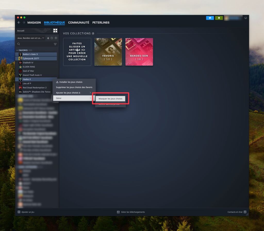 Steam masquer jeux