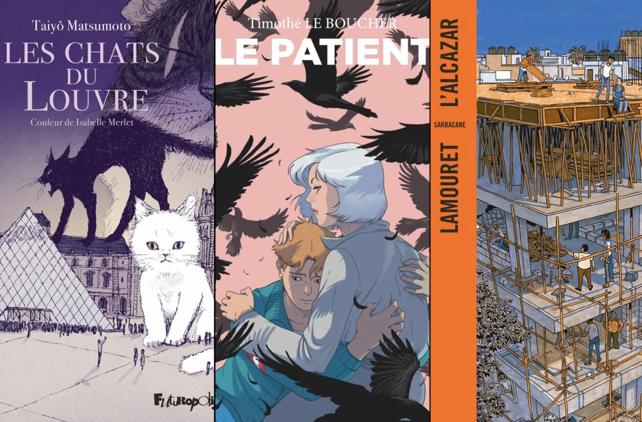 “Les chats du Louvre”, “Le Patient”, “L’Alcazar”.
