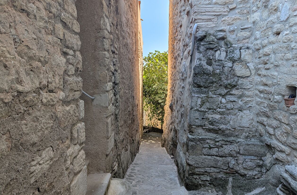 Google Pixel 10 Pro XL