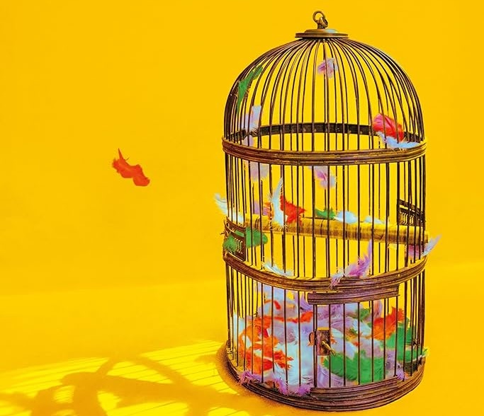 “Ils appellent ça l'amour”, de Chloé Delaume.