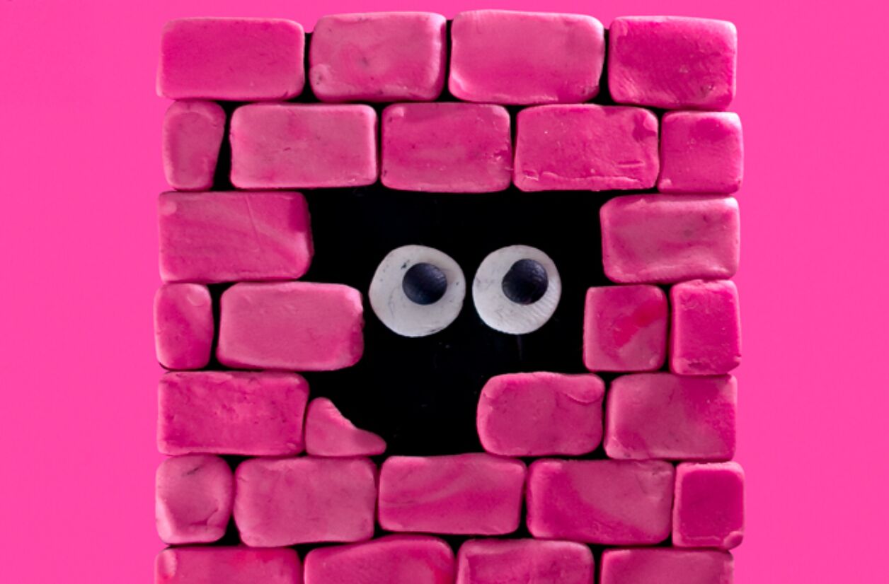 Le Rose Festival 2025 se tiendra les 29, 30 et 31 août au Meett.