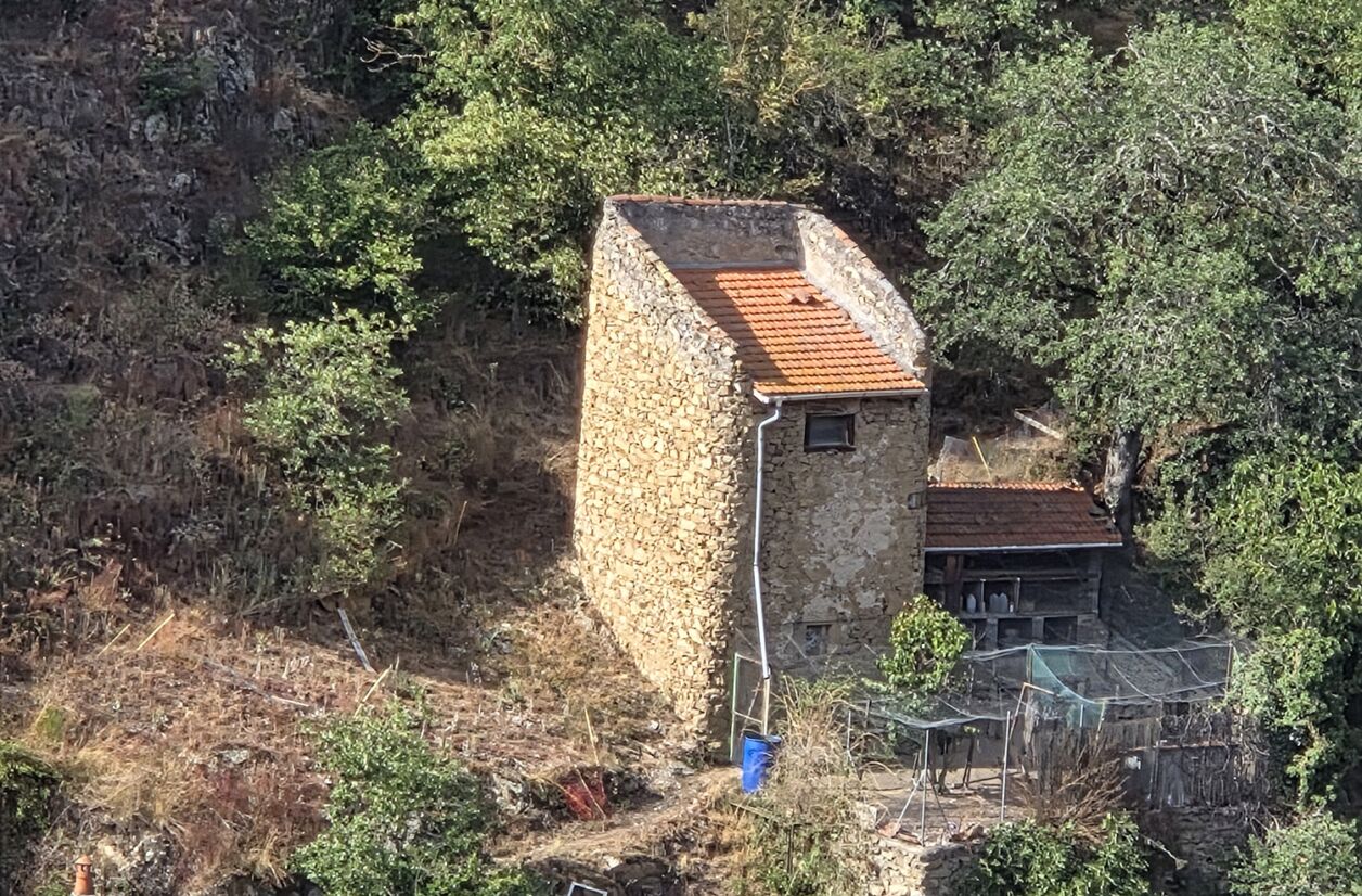 Samsung Galaxy Z Fold 7