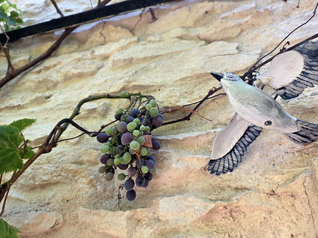 Samsung Galaxy Z Fold 7