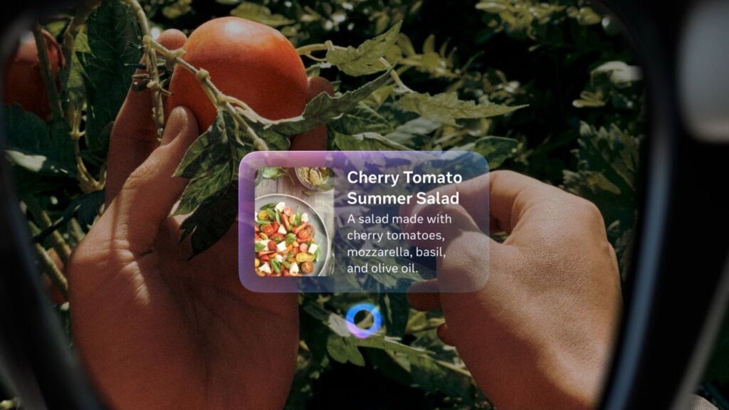 Ray-Ban Meta Display