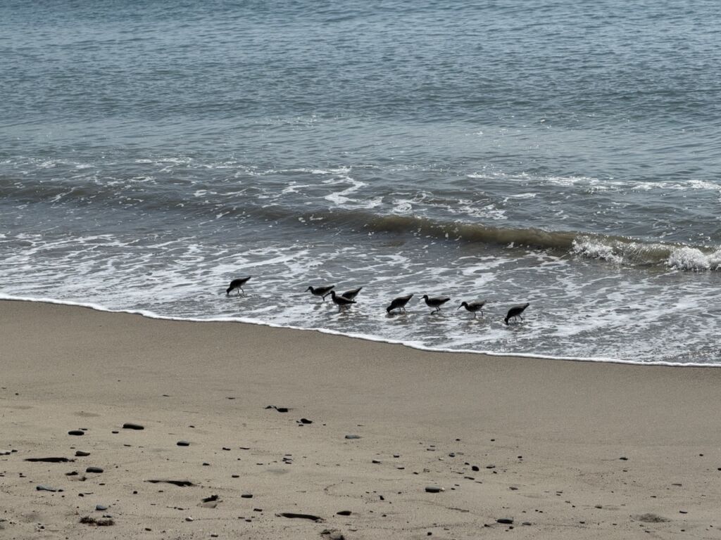 Test iPhone 17 Pro Max