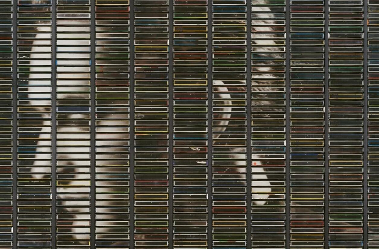 “Poussières d'or” est disponible depuis le 28 novembre.