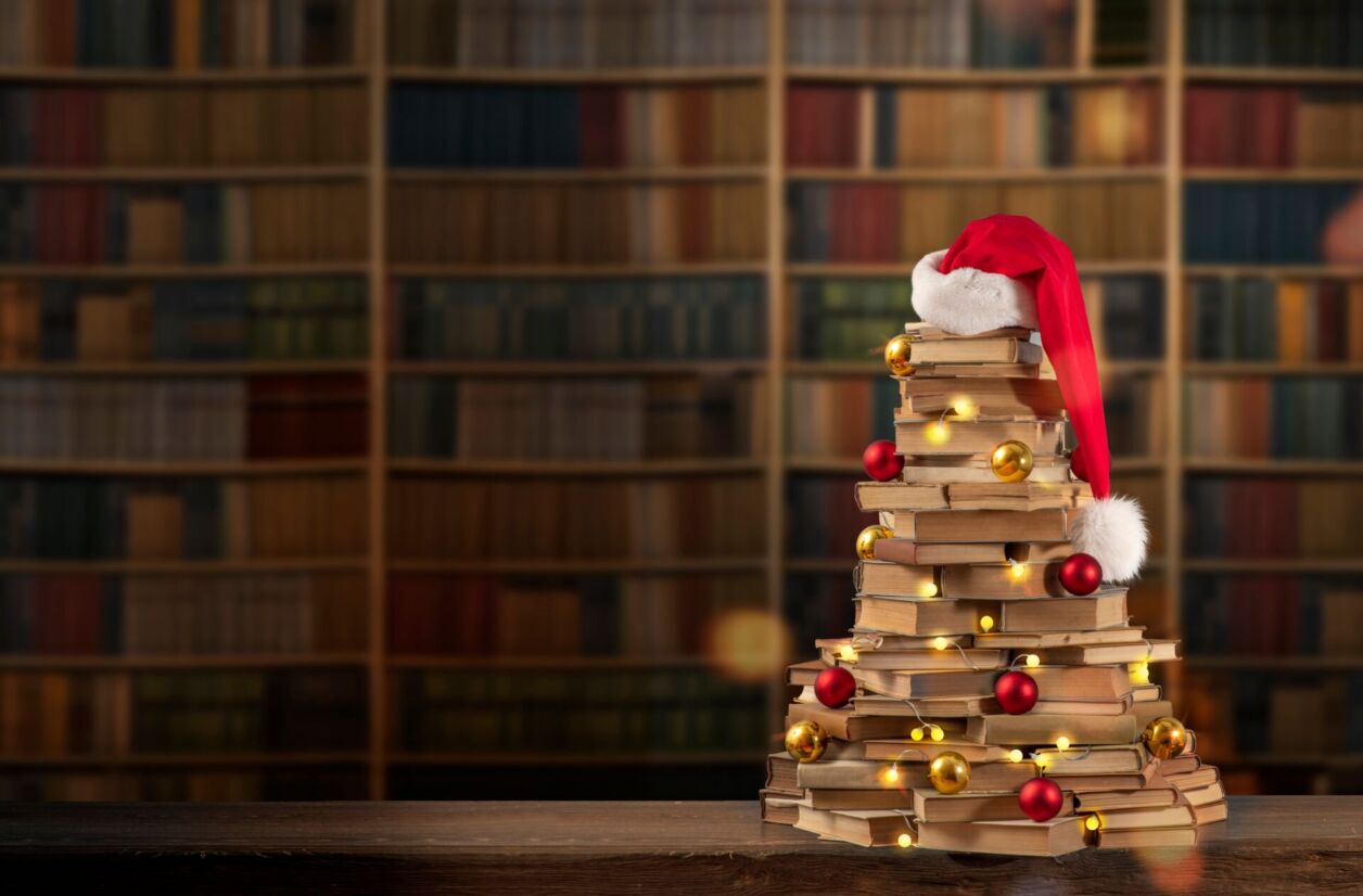 Les 25 livres qui ont fait 2025