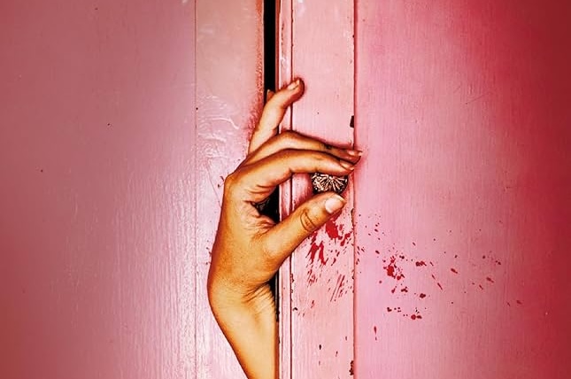 “La Locataire”, le nouveau roman de Freida McFadden.