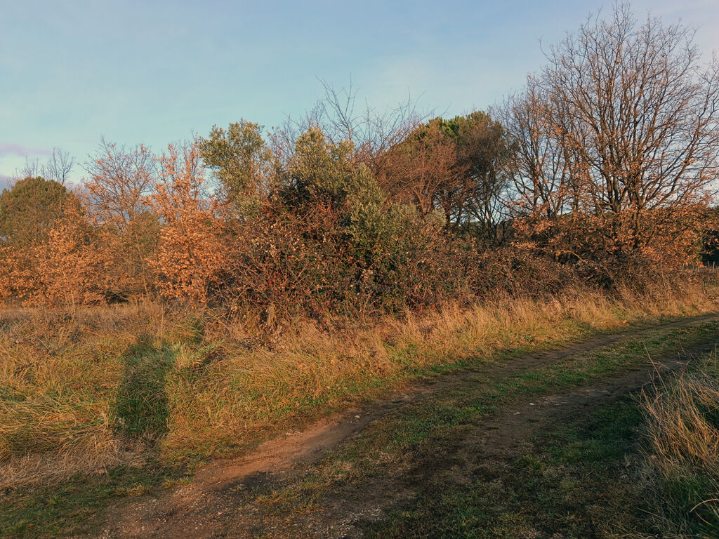 Xiaomi Redmi Note 15 4G