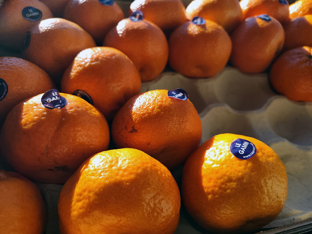 Xiaomi REDMI Note 15 Pro +