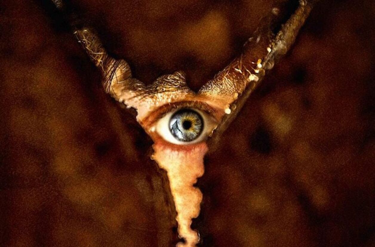 “Retour à Silent Hill”, le 4 février 2026 au cinéma.