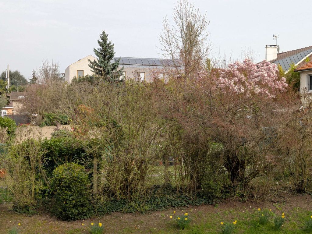 Test Google Pixel 10a