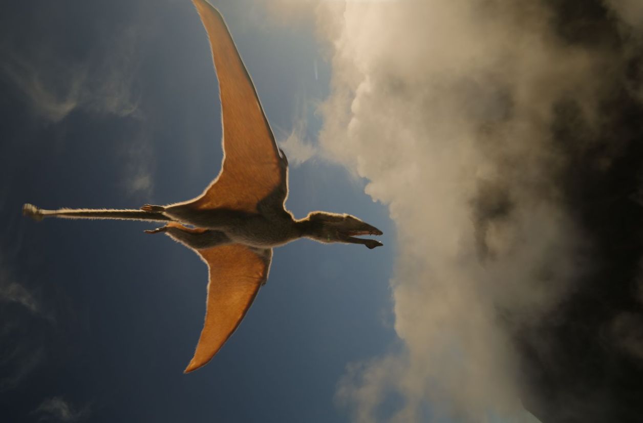 “Les dinosaures”, le 6 mars 2026 sur Netflix.