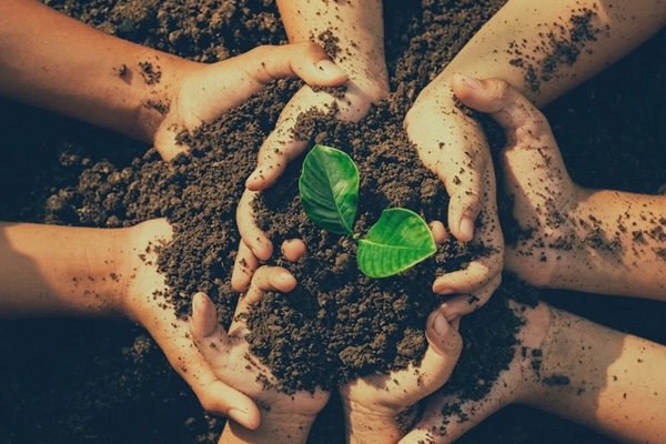 Écologie et environnement : les meilleurs livres pour protéger et célébrer la nature