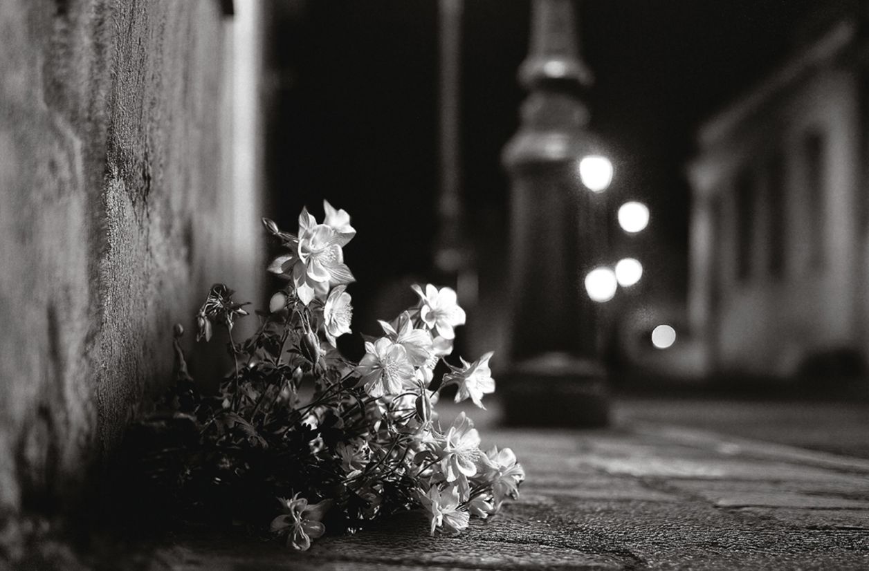 “Une unique lueur”.