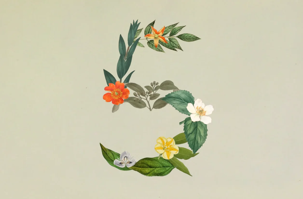Illustration