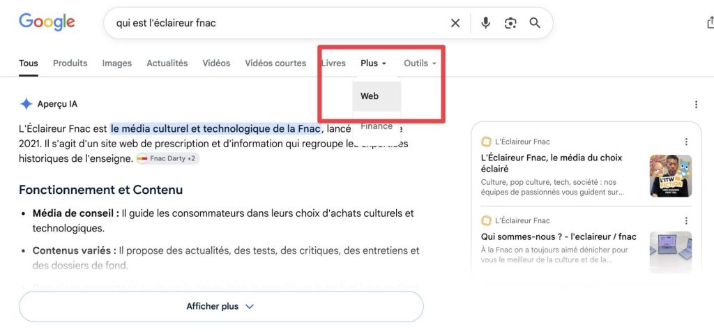 Google aperçus IA