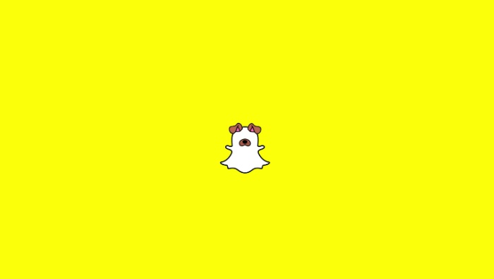 Dog Lenses : Snapchat lance des filtres AR pour les chiens