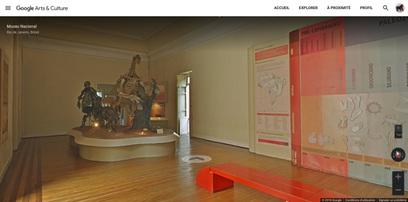 Google permet de visiter le Musée National du Brésil en ligne