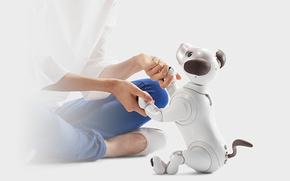 Sony Aibo : intelligent et connecté, le chien-robot est de retour